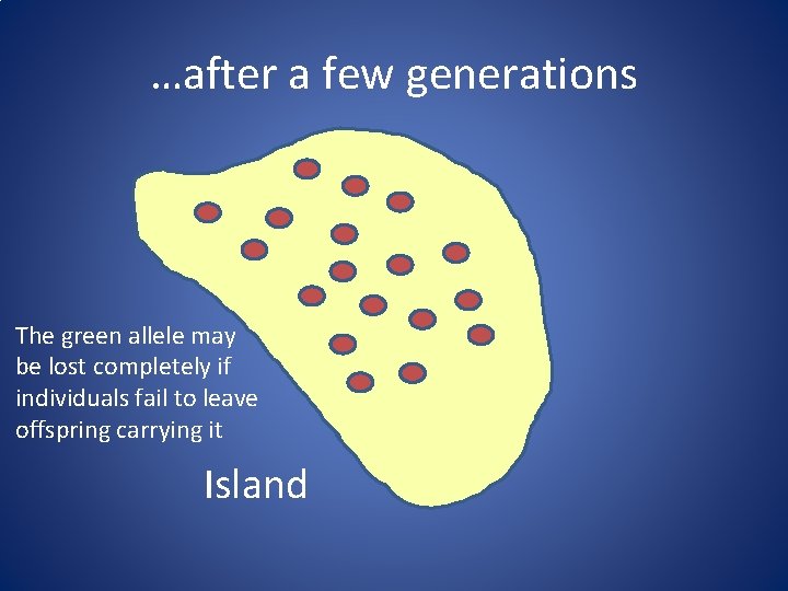 …after a few generations The green allele may be lost completely if individuals fail