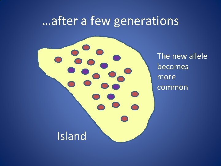 …after a few generations The new allele becomes more common Island 