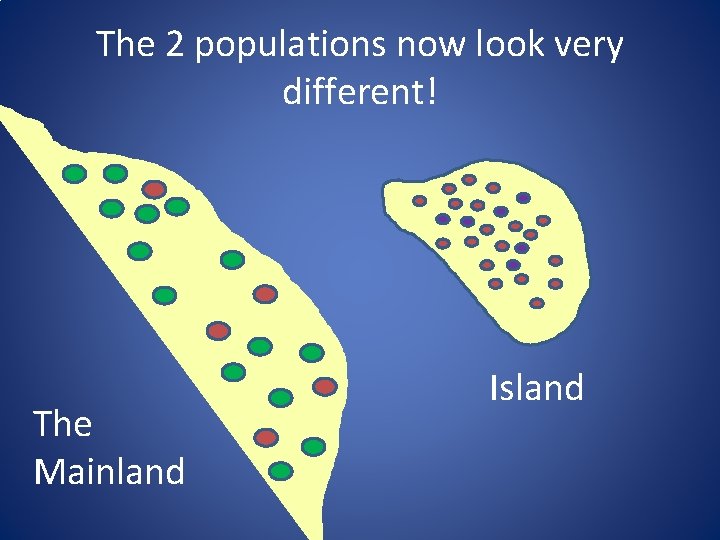 The 2 populations now look very different! The Mainland Island 