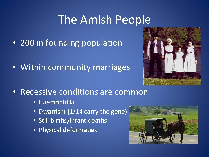 The Amish People • 200 in founding population • Within community marriages • Recessive