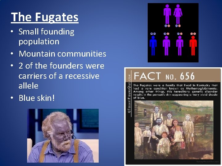 The Fugates • Small founding population • Mountain communities • 2 of the founders