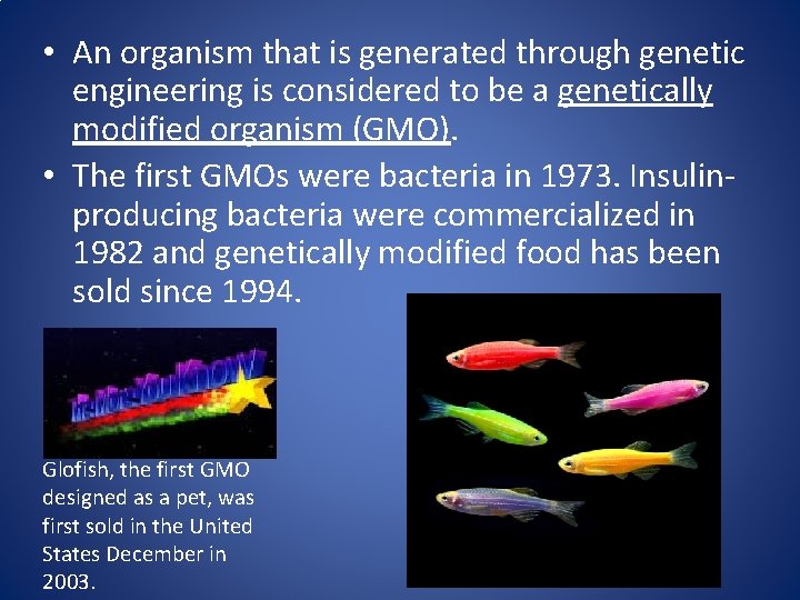  • An organism that is generated through genetic engineering is considered to be