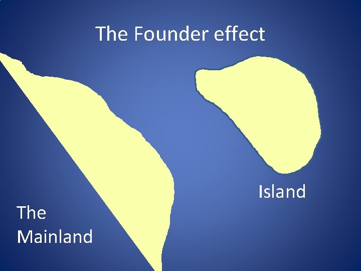 The Founder effect The Mainland Island 