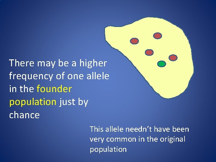 There may be a higher frequency of one allele in the founder population just