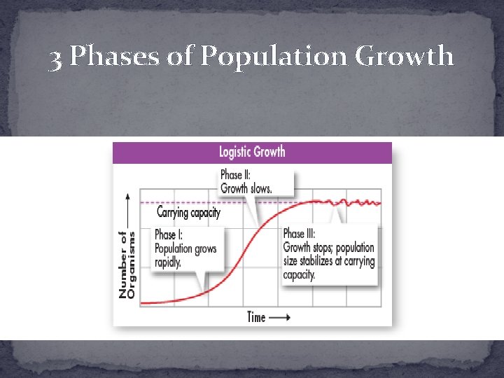 3 Phases of Population Growth 