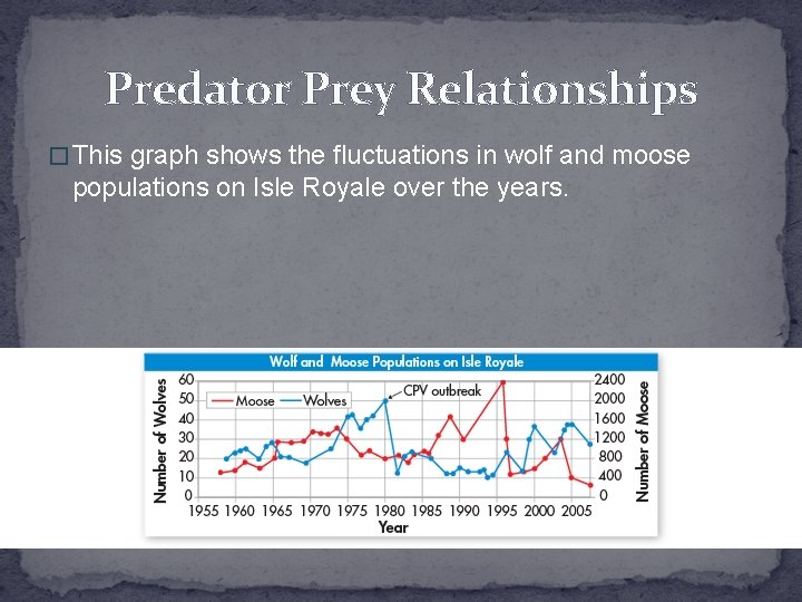Predator Prey Relationships � This graph shows the fluctuations in wolf and moose populations