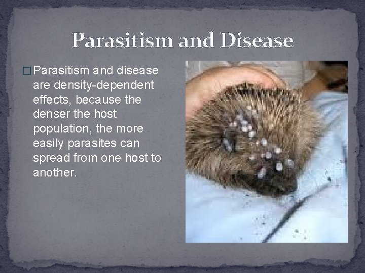 Parasitism and Disease � Parasitism and disease are density-dependent effects, because the denser the
