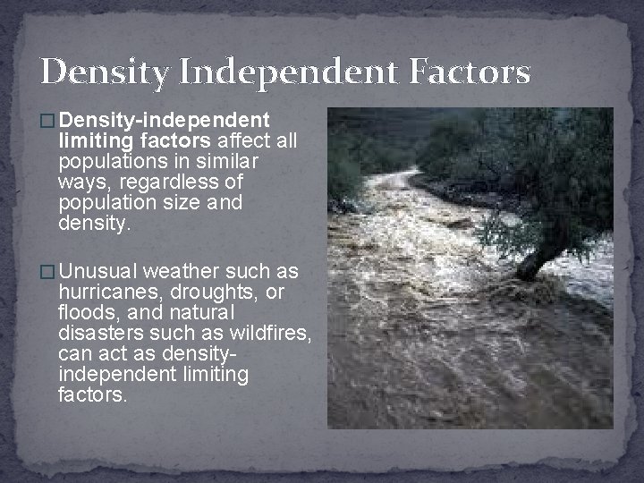 Density Independent Factors � Density-independent limiting factors affect all populations in similar ways, regardless