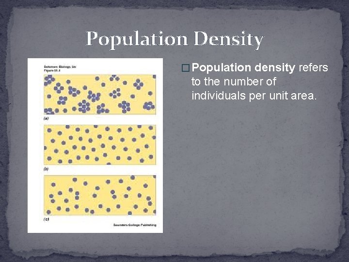 Population Density � Population density refers to the number of individuals per unit area.