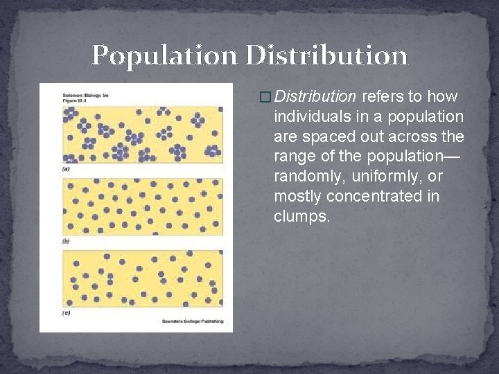 Population Distribution � Distribution refers to how individuals in a population are spaced out