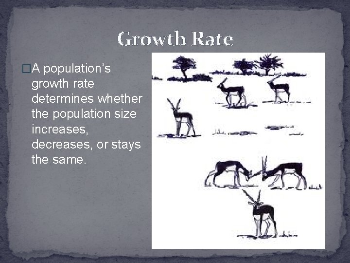 Growth Rate �A population’s growth rate determines whether the population size increases, decreases, or