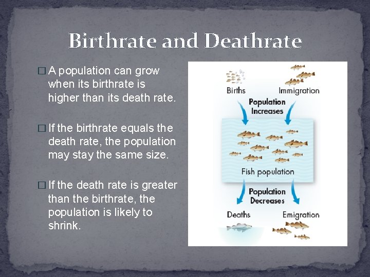 Birthrate and Deathrate � A population can grow when its birthrate is higher than