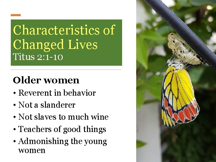 Characteristics of Changed Lives Titus 2: 1 -10 Older women • Reverent in behavior Characteristics of Changed Lives Titus 2: 1 -10 Older women • Reverent in behavior