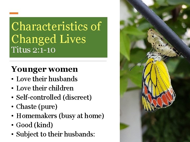 Characteristics of Changed Lives Titus 2: 1 -10 Younger women • • Love their