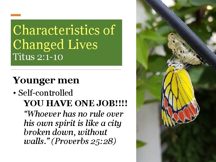 Characteristics of Changed Lives Titus 2: 1 -10 Younger men • Self-controlled YOU HAVE