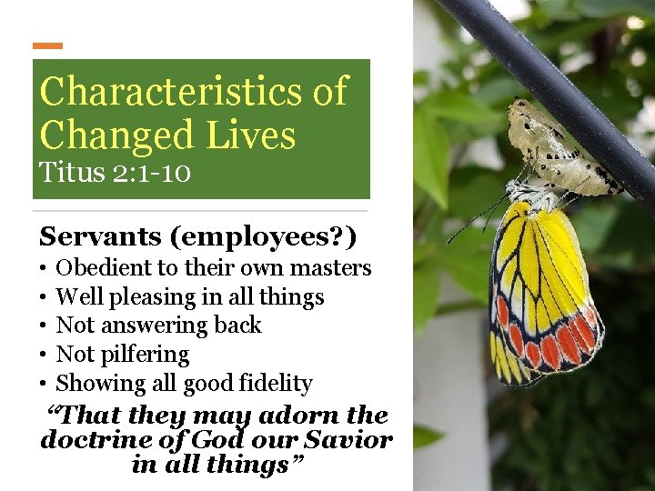 Characteristics of Changed Lives Titus 2: 1 -10 Servants (employees? ) • • •