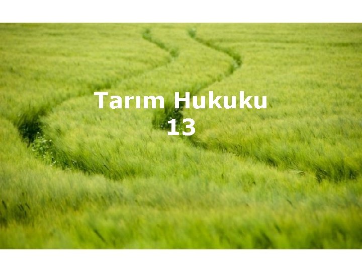 Tarım Hukuku 13 Page 1 