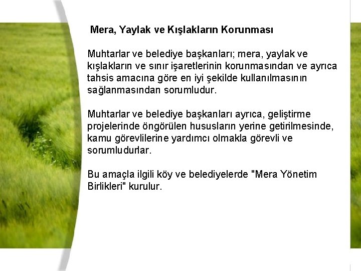  Mera, Yaylak ve Kışlakların Korunması Muhtarlar ve belediye başkanları; mera, yaylak ve kışlakların