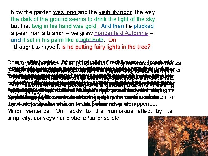 Now the garden was long and the visibility poor, the way the dark of