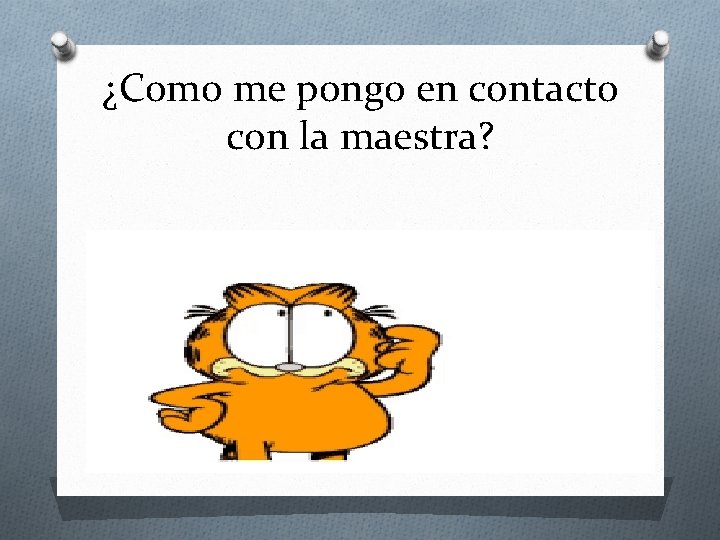 ¿Como me pongo en contacto con la maestra? 