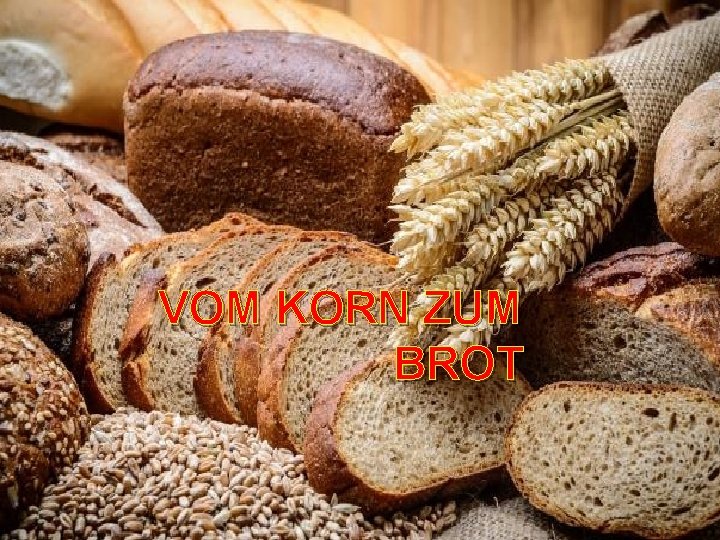 VOM KORN ZUM BROT 