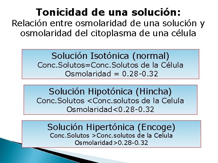 Tonicidad de una solución: Relación entre osmolaridad de una solución y osmolaridad del citoplasma Tonicidad de una solución: Relación entre osmolaridad de una solución y osmolaridad del citoplasma