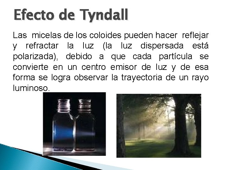 Efecto de Tyndall Las micelas de los coloides pueden hacer reflejar y refractar la