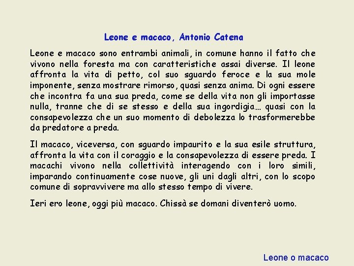 Leone e macaco, Antonio Catena Leone e macaco sono entrambi animali, in comune hanno Leone e macaco, Antonio Catena Leone e macaco sono entrambi animali, in comune hanno