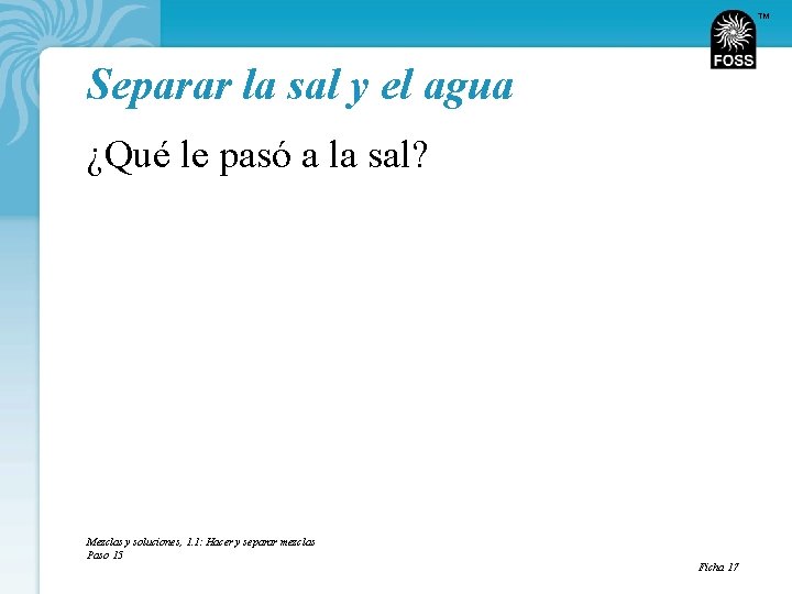 TM Separar la sal y el agua ¿Qué le pasó a la sal? Mezclas