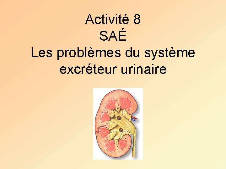 Activité 8 SAÉ Les problèmes du système excréteur urinaire 