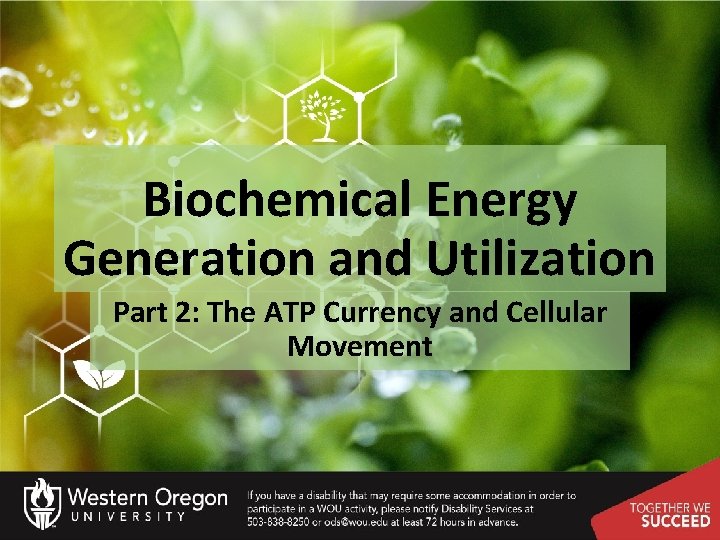 Biochemical Energy Generation and Utilization Part 2: The ATP Currency and Cellular Movement 
