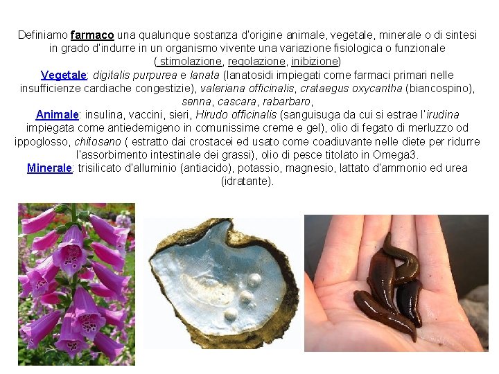 Definiamo farmaco una qualunque sostanza d’origine animale, vegetale, minerale o di sintesi in grado