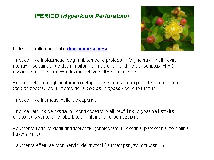 IPERICO (Hypericum Perforatum) Utilizzato nella cura della depressione lieve • riduce i livelli plasmatici