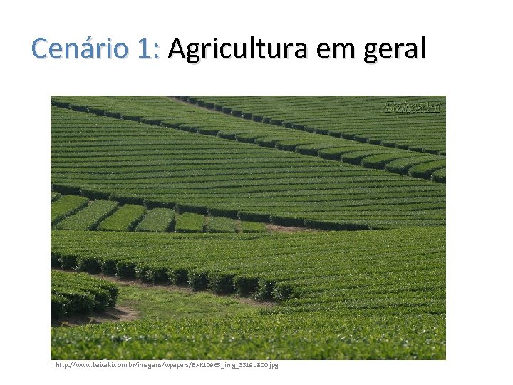 Cenário 1: Agricultura em geral http: //www. baixaki. com. br/imagens/wpapers/BXK 10965_img_3319 p 800. jpg