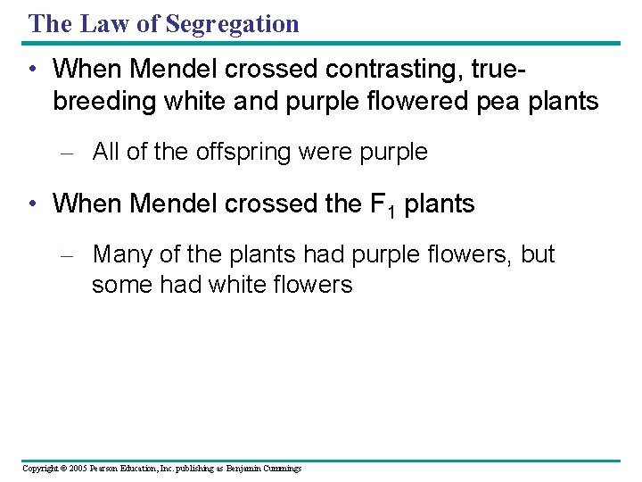 The Law of Segregation • When Mendel crossed contrasting, truebreeding white and purple flowered