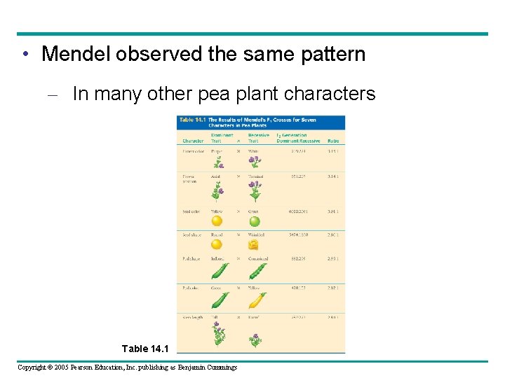  • Mendel observed the same pattern – In many other pea plant characters