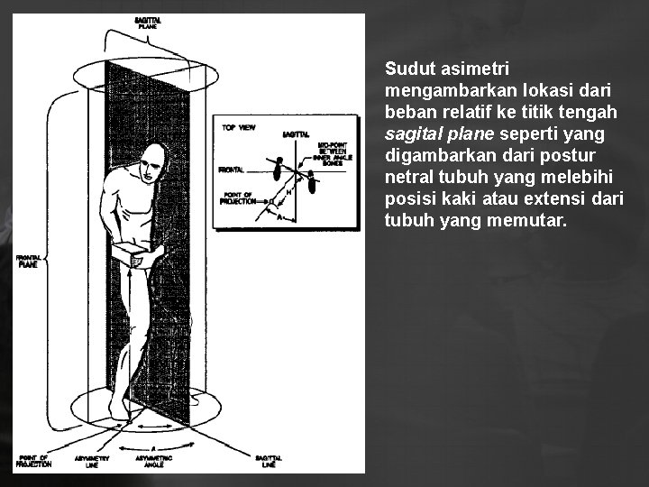 Sudut asimetri mengambarkan lokasi dari beban relatif ke titik tengah sagital plane seperti yang