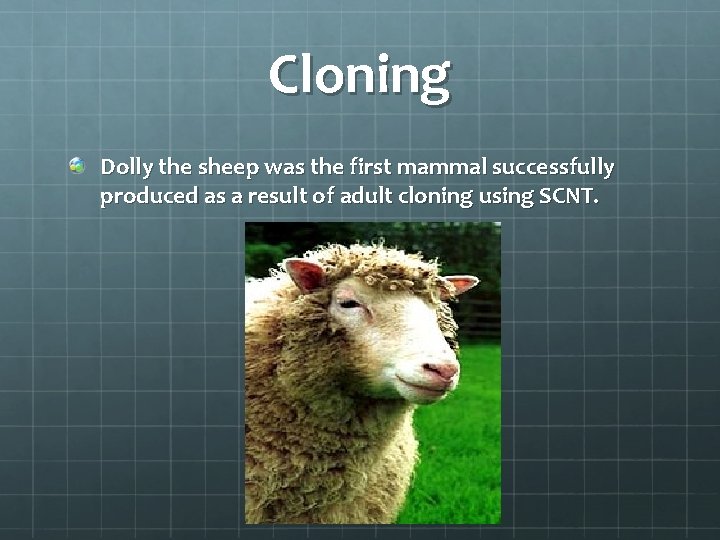 Cloning Dolly the sheep was the first mammal successfully produced as a result of Cloning Dolly the sheep was the first mammal successfully produced as a result of
