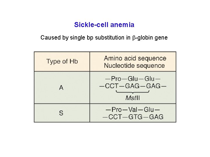 Sickle-cell anemia Caused by single bp substitution in b-globin gene 