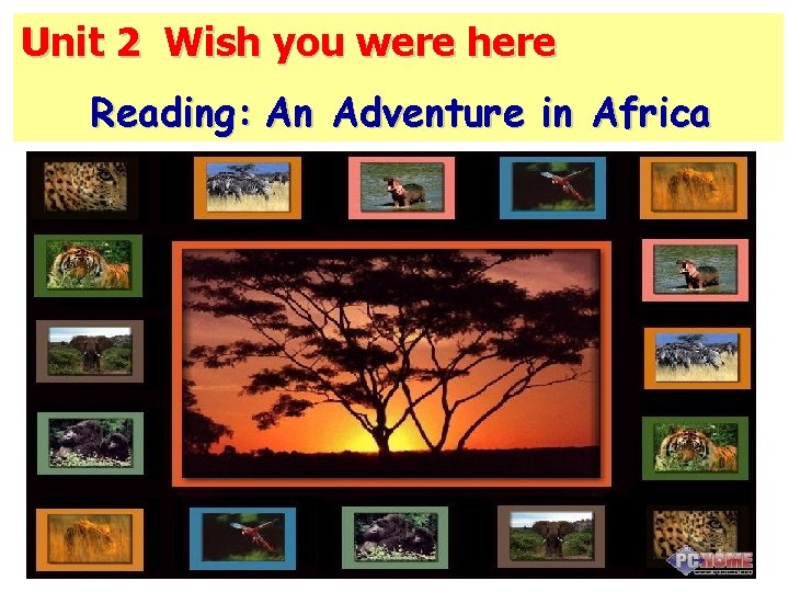 Unit 2 Wish you were here Reading: An Adventure in Africa Unit 2 Wish you were here Reading: An Adventure in Africa