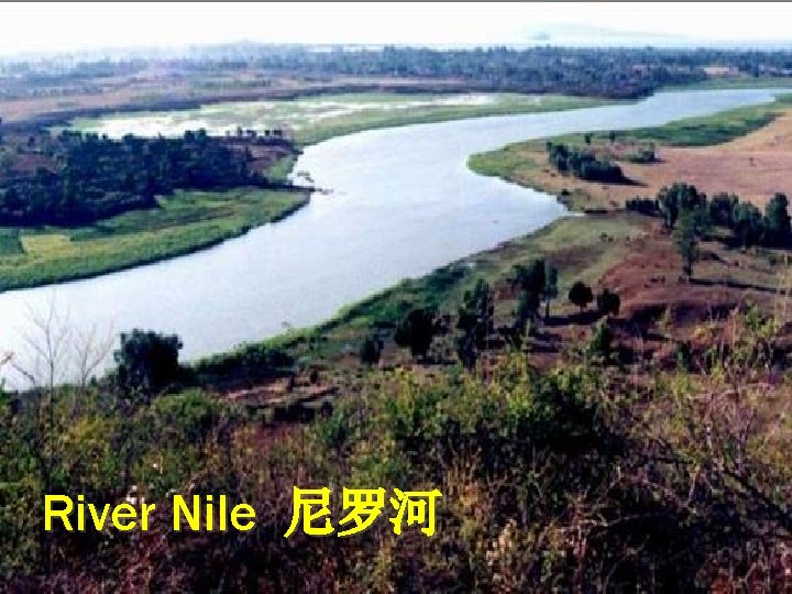 River Nile 尼罗河 River Nile 尼罗河