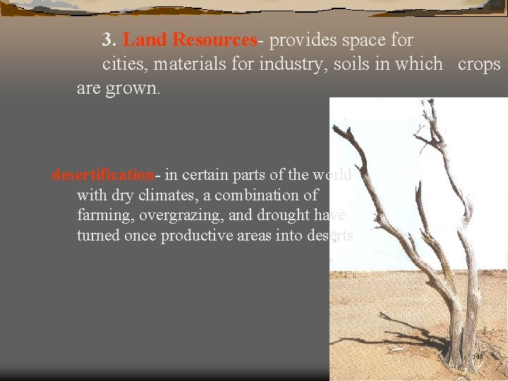 3. Land Resources- provides space for cities, materials for industry, soils in which crops