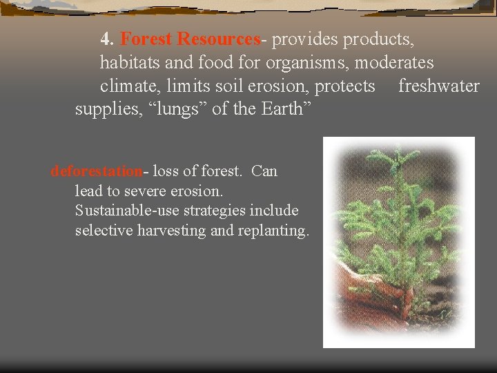 4. Forest Resources- provides products, habitats and food for organisms, moderates climate, limits soil