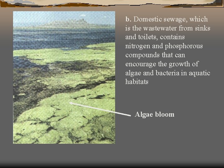 b. Domestic sewage, which is the wastewater from sinks and toilets, contains nitrogen and