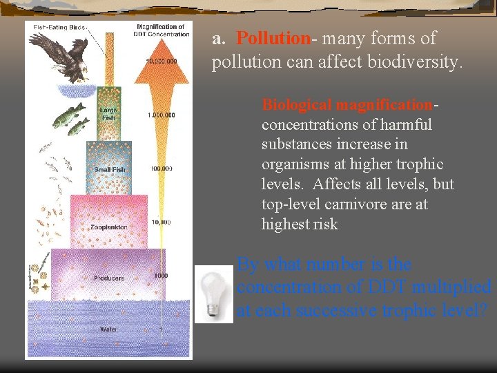 a. Pollution- many forms of pollution can affect biodiversity. Biological magnificationconcentrations of harmful substances