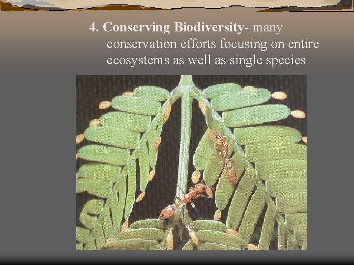 4. Conserving Biodiversity- many conservation efforts focusing on entire ecosystems as well as single