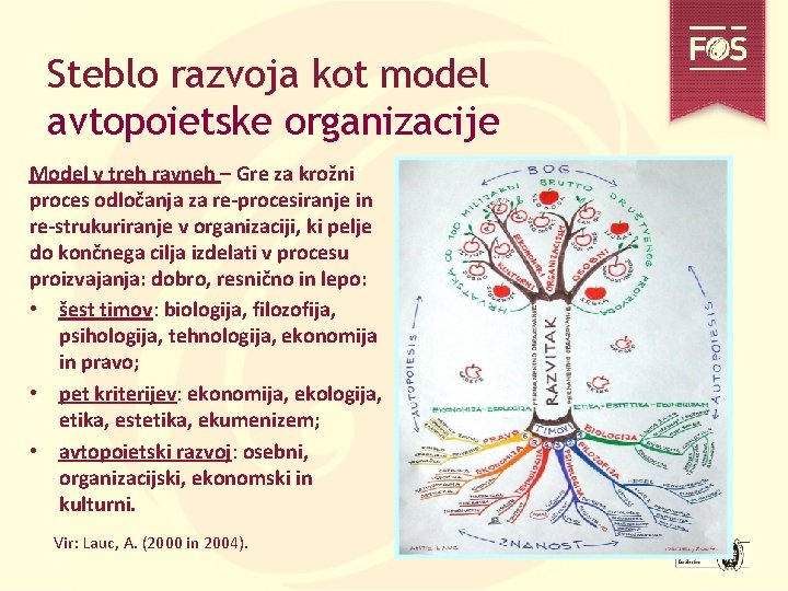 Steblo razvoja kot model avtopoietske organizacije Model v treh ravneh – Gre za krožni