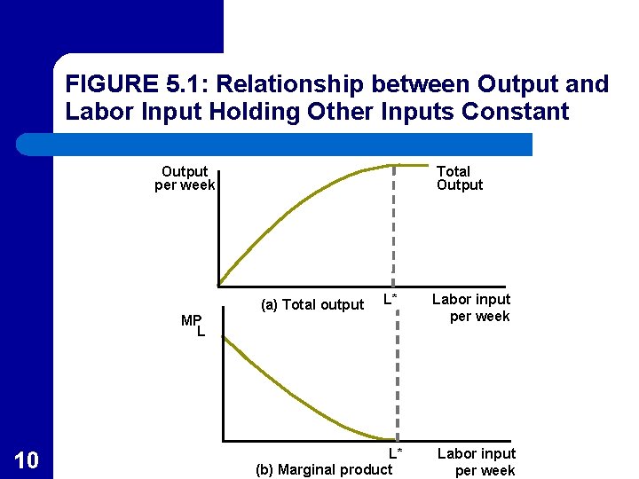 FIGURE 5. 1: Relationship between Output and Labor Input Holding Other Inputs Constant Output