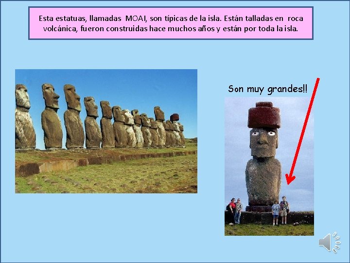 Esta estatuas, llamadas MOAI, son típicas de la isla. Están talladas en roca volcánica,