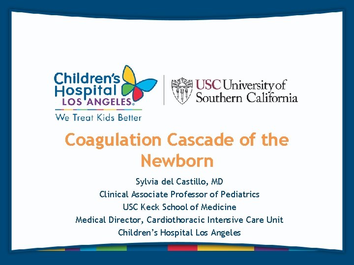 Coagulation Cascade of the Newborn Sylvia del Castillo, MD Clinical Associate Professor of Pediatrics
